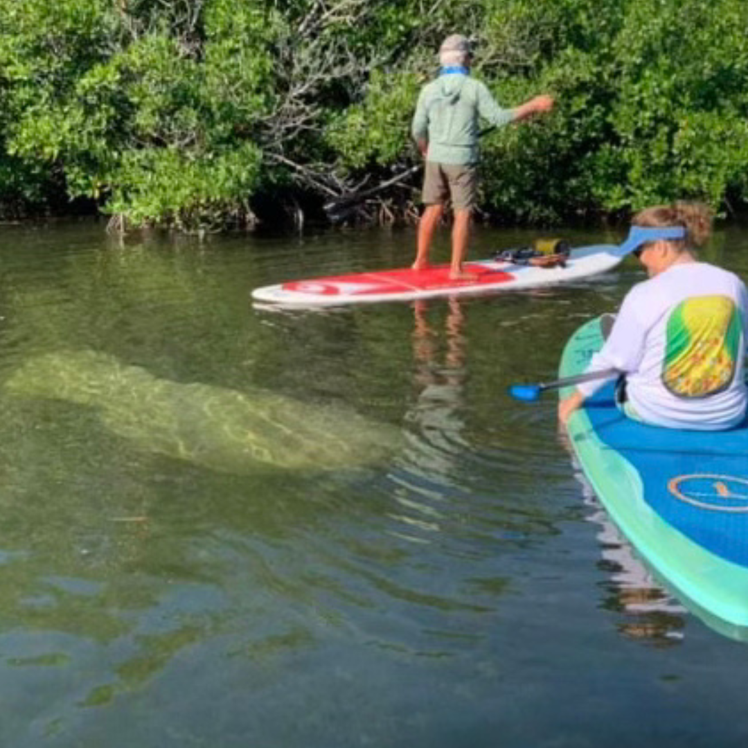 Funny Christmas Manatee Long Sleeve T-Shirt — Holiday Manatee Tee